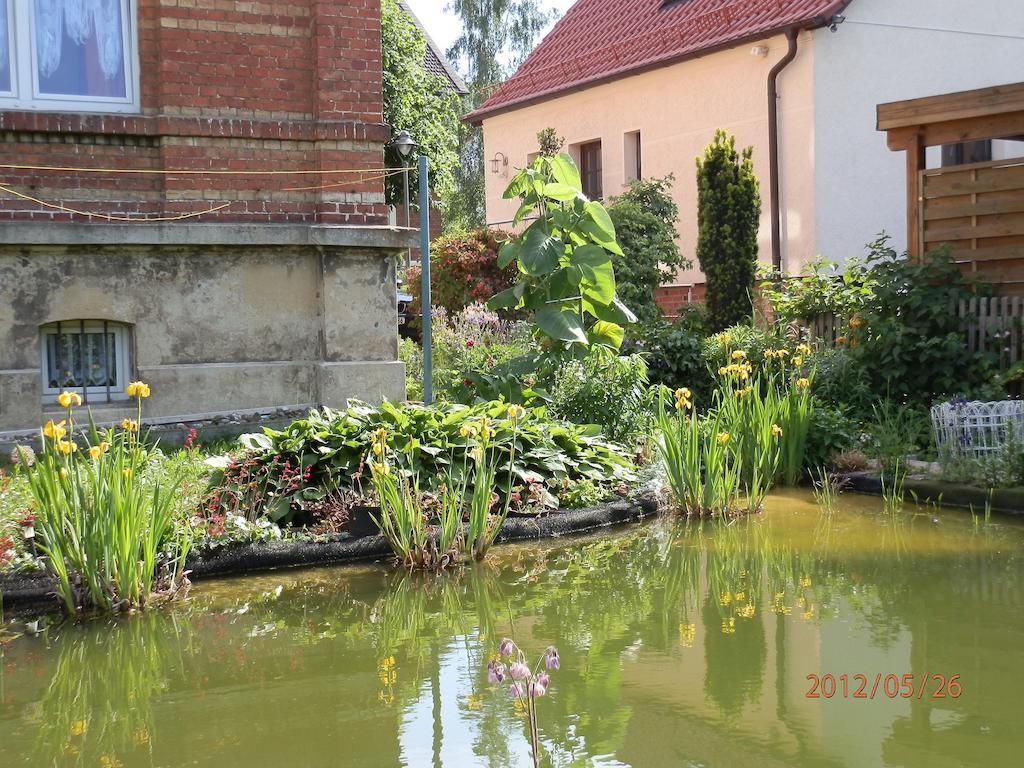 Ferienwohnung Fedler Blankenburg  Room photo